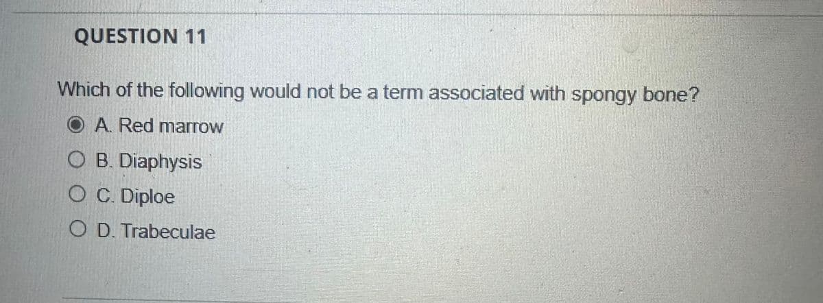 QUESTION 11
Which of the following would not be a term associated with spongy bone?
O A. Red marrow
O B. Diaphysis
O C. Diploe
O D. Trabeculae