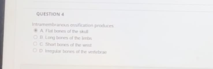 QUESTION 4
Intramembranous ossification produces
A Flat bones of the skull
OB. Long bones of the limbs
OC Short bones of the wrist
OD Irregular bones of the vertebrae