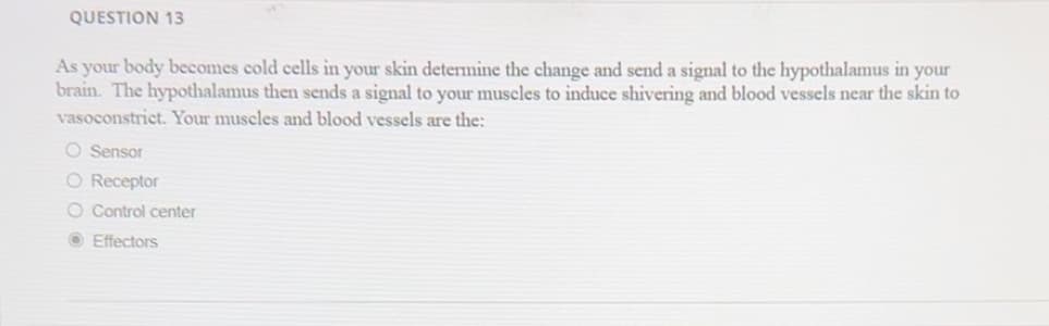 QUESTION 13
As your body becomes cold cells in your skin determine the change and send a signal to the hypothalamus in your
brain. The hypothalamus then sends a signal to your muscles to induce shivering and blood vessels near the skin to
vasoconstrict. Your muscles and blood vessels are the:
O Sensor
O Receptor
O Control center
ⒸEffectors