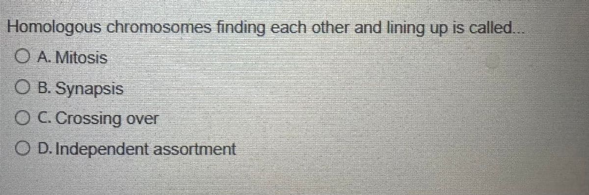 Homologous chromosomes finding each other and lining up is called...
O A. Mitosis
O B. Synapsis
OC. Crossing over
OD. Independent assortment