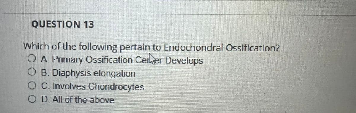 QUESTION 13
Which of the following pertain to Endochondral Ossification?
O A. Primary Ossification Celer Develops
O B. Diaphysis elongation
O C. Involves Chondrocytes
OD. All of the above