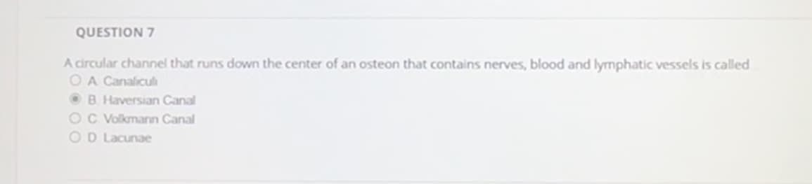 QUESTION 7
A circular channel that runs down the center of an osteon that contains nerves, blood and lymphatic vessels is called
OA Canalicul
B. Haversian Canal
C Volkmann Canal
D Lacunae