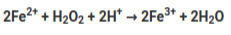 2F22* + H202 + 2H* → 2FE3* + 2H20
