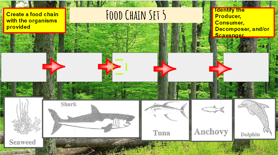 FOOD CHAIN SET 5
Identify the
Producer,
Consumer,
Create a food chain
with the organisms
provided
Decomposer, and/or
Scavenger.
Shark
Tuna
Anchovy
Dolphin
Seaweed
