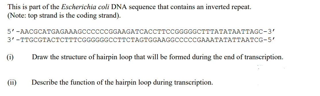 This is part of the Escherichia coli DNA sequence that contains an inverted repeat.
(Note: top strand is the coding strand).
5'-AACGCATGAGAAAGCCCCCCGGAAGATCACCTTCCGGGGGCTTTATATAATTAGC-3'
3'-TTGCGTACTCTTTCGGGGGGCCTTCTAGTGGAAGGCCCCCGAAATATATTAATCG-5'
(i)
Draw the structure of hairpin loop that will be formed during the end of transcription.
(ii) Describe the function of the hairpin loop during transcription.