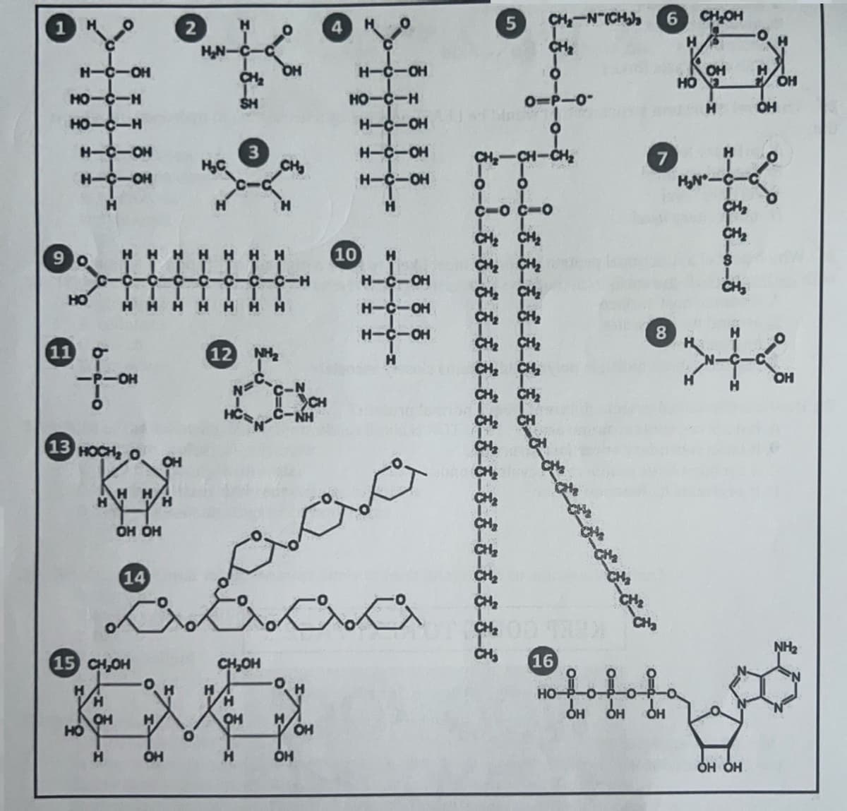 HO-C-H
HO-C-H
11
H-CIOH
НО
13
O
H-C-OH
HICIOH
Н
fон
H
HOCH₂ O OH
н н H
он он
НО
н
14
(15 CH OH
Н
OH
2 Н
H₂N
OH
О
CH₂
SH
3
о
С
OH
Н
OH
H
12 NH2
N=C-C-1
HỘI, CÁNH
-Н
H
CH
aaaa
CH OH
aaa
он
OH
H-C-OH
HO-C-H
10
H-C-OH
H-C-OH
H-C-OH
Н
Н
H-C-OH
H-C-OH
H-C-OH
6-0-0-8-8-8
CH₂N-(CH₂)
CH₂-CH-CH₂
О
с-ос-о
-8-8-8
CH₂
О
O-P-0
I
О
16
но-
от они он он от
он OH
6 CH₂OH
н
7
8
он
OH
но 2
Н
H₂N-C-
сно
CH₂
CH₂
1 он
OH
работ
OH
Н
OH OH