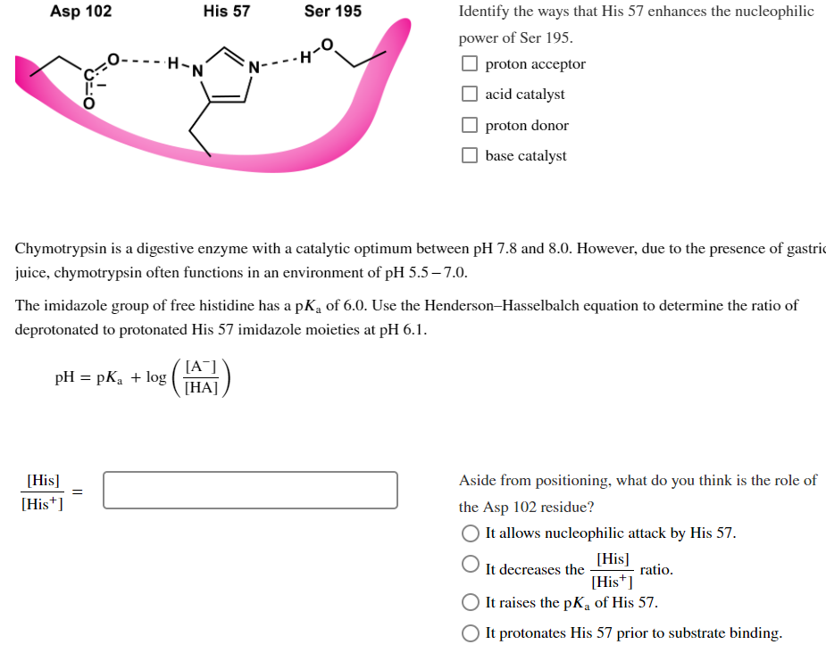 Asp 102
His 57
·H-N
pH = pka + log
[His]
[His+]
=
Ser 195
Chymotrypsin is a digestive enzyme with a catalytic optimum between pH 7.8 and 8.0. However, due to the presence of gastric
juice, chymotrypsin often functions in an environment of pH 5.5-7.0.
N----H
The imidazole group of free histidine has a pK₁ of 6.0. Use the Henderson-Hasselbalch equation to determine the ratio of
deprotonated to protonated His 57 imidazole moieties at pH 6.1.
[A]
[HA]
Identify the ways that His 57 enhances the nucleophilic
power of Ser 195.
proton acceptor
acid catalyst
proton donor
base catalyst
Aside from positioning, what do you think is the role of
the Asp 102 residue?
It allows nucleophilic attack by His 57.
[His]
It decreases the
[His+]
It raises the pK₁ of His 57.
It protonates His 57 prior to substrate binding.
ratio.