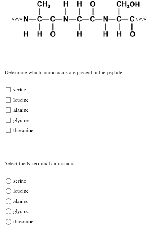 CH3 нно
| | ||
wwN-C-C-N-C-C-N-C-Cww
| |
нно H
serine
leucine
alanine
Determine which amino acids are present in the peptide.
glycine
threonine
Select the N-terminal amino acid.
serine
leucine
alanine
O glycine
CH₂OH
T │ |
нно
!!
threonine