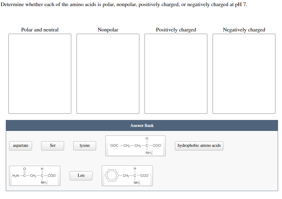 Determine whether each of the amino acids is polar, nonpolar, positively charged, or negatively charged at pH 7.
Polar and neutral
aspartate
H
Ser
H₂N-C-CH₂-C-COO
NH3
lysine
Leu
Nonpolar
Answer Bank
H
OOC-CH₂-CH₂-C-COO
NH3
Positively charged
H
CH₂-C-COO
NH3
hydrophobic amino acids
Negatively charged