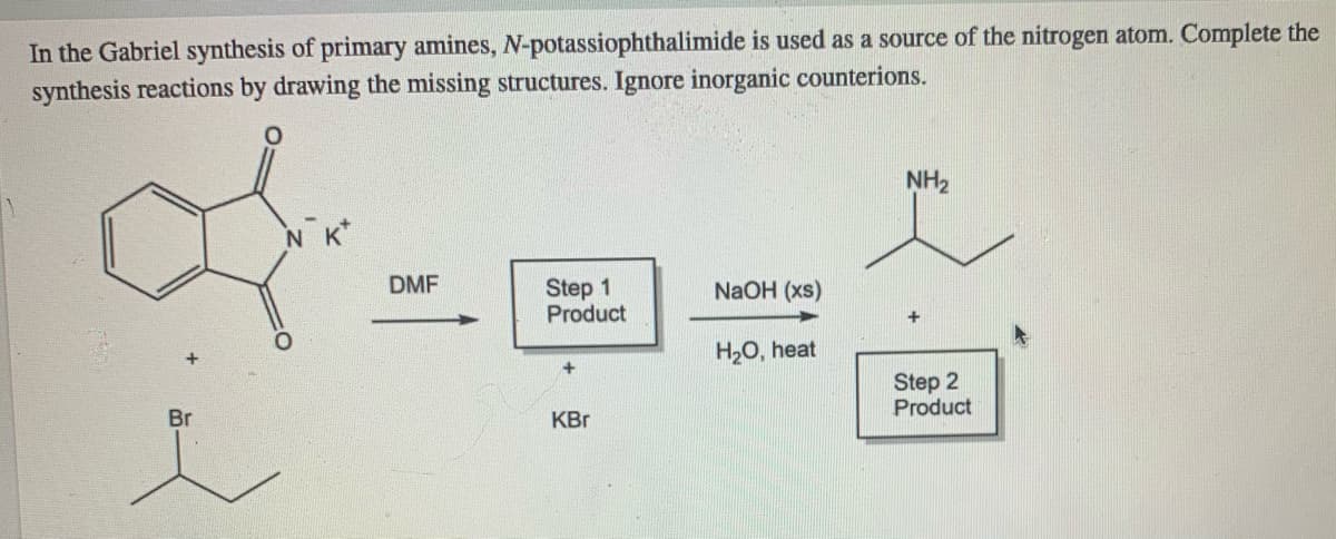 In the Gabriel synthesis of primary amines, N-potassiophthalimide is used as a source of the nitrogen atom. Complete the
synthesis reactions by drawing the missing structures. Ignore inorganic counterions.
NH2
N K*
DMF
Step 1
Product
NaOH (xs)
H2O, heat
Step 2
Product
Br
KBr
