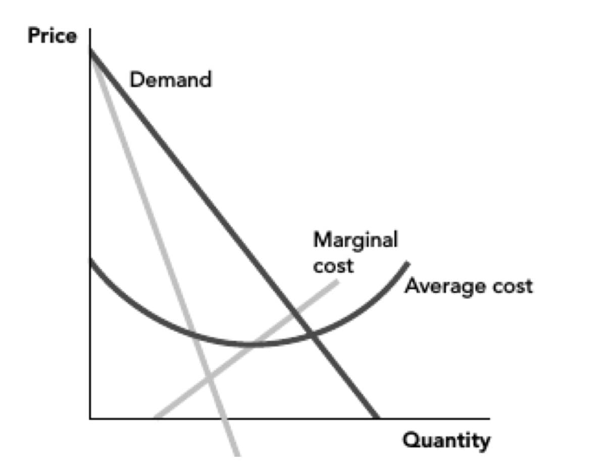 Price
Demand
Marginal
cost
Average cost
Quantity
