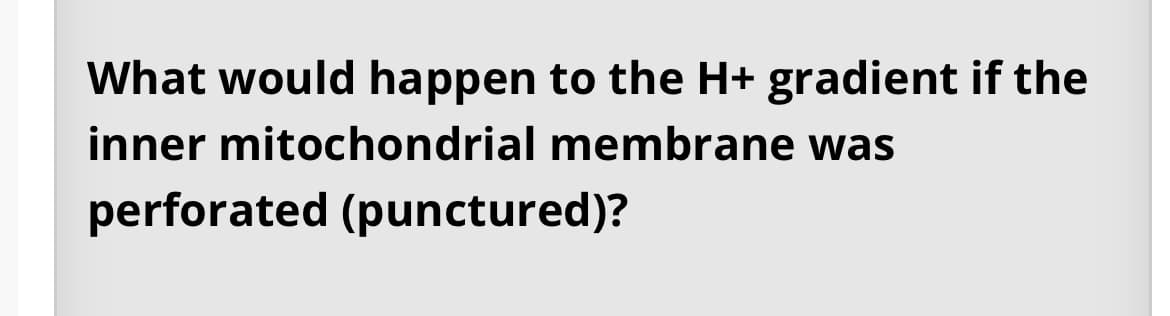 What would happen to the H+ gradient if the
inner mitochondrial
membrane was
perforated (punctured)?