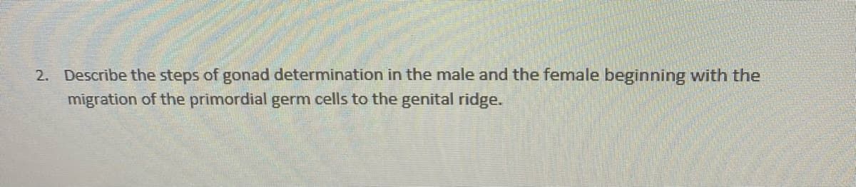 2. Describe the steps of gonad determination in the male and the female beginning with the
migration of the primordial germ cells to the genital ridge.
