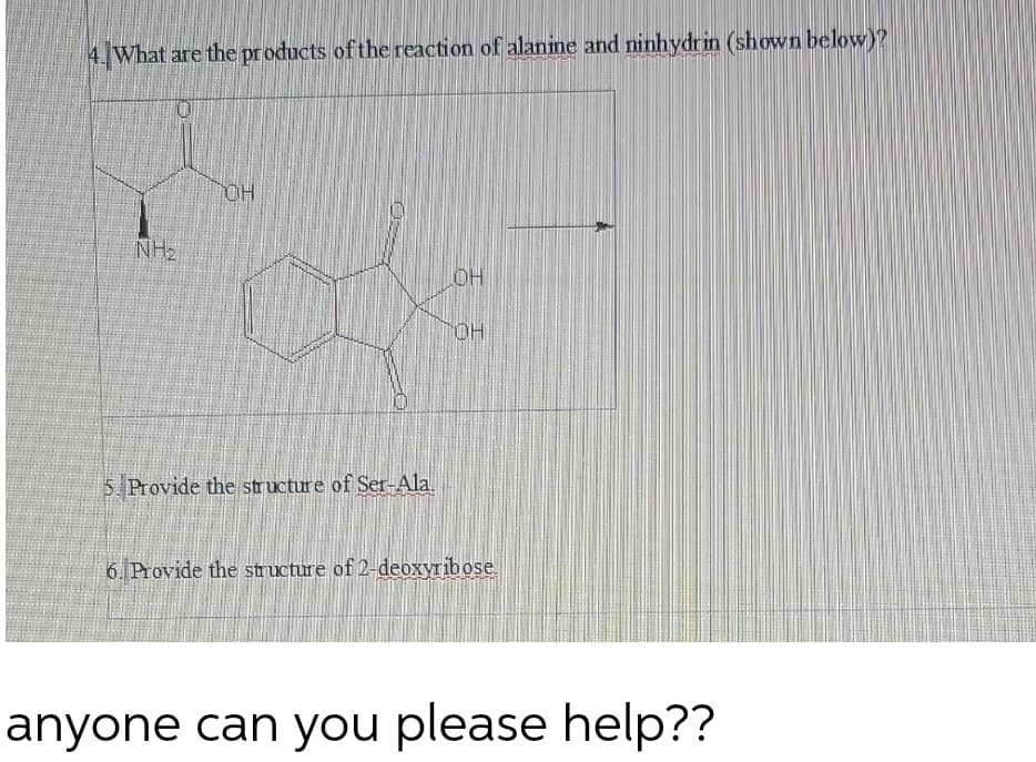 4. What are the products of the reaction of alanine and ninhydrin (shown below)?
NH₂
OH
5. Provide the structure of Ser-Ala.
OH
6. Provide the structure of 2-deoxyribose
anyone can you please help??