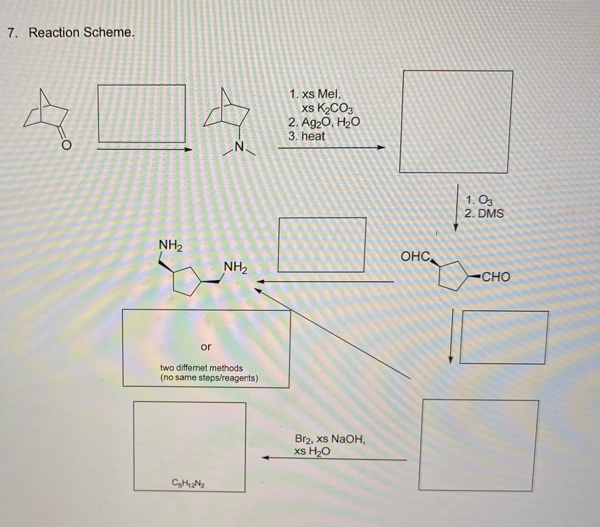 7. Reaction Scheme.
о
А
N
1. xs Mel,
xs K2CO3
2. Ag2O, H₂O
3. heat
NH2
NH2
or
two differnet methods
(no same steps/reagents)
C5H12N2
Br2, xs NaOH,
xs H₂O
OHC
1.03
2. DMS
CHO