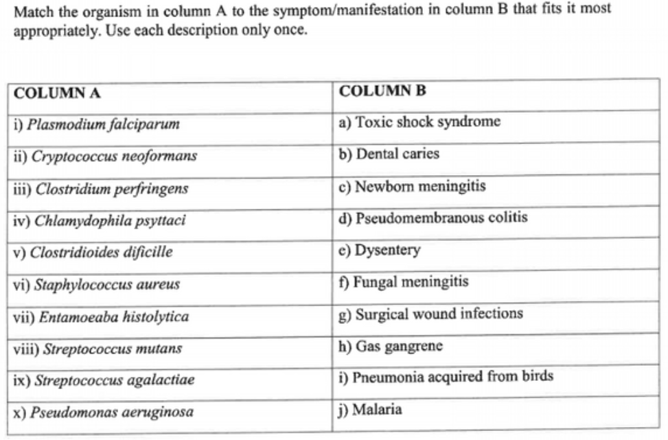 Match the organism in column A to the symptom/manifestation in column B that fits it most
appropriately. Use each description only once.
COLUMN A
COLUMN B
i) Plasmodium falciparum
a) Toxic shock syndrome
ii) Cryptococcus neoformans
b) Dental caries
iii) Clostridium perfringens
c) Newborn meningitis
iv) Chlamydophila psyttaci
d) Pseudomembranous colitis
v) Clostridioides dificille
e) Dysentery
vi) Staphylococcus aureus
f) Fungal meningitis
vii) Entamoeaba histolytica
g) Surgical wound infections
viii) Streptococcus mutans
h) Gas gangrene
ix) Streptococcus agalactiae
i) Pneumonia acquired from birds
x) Pseudomonas aeruginosa
j) Malaria
