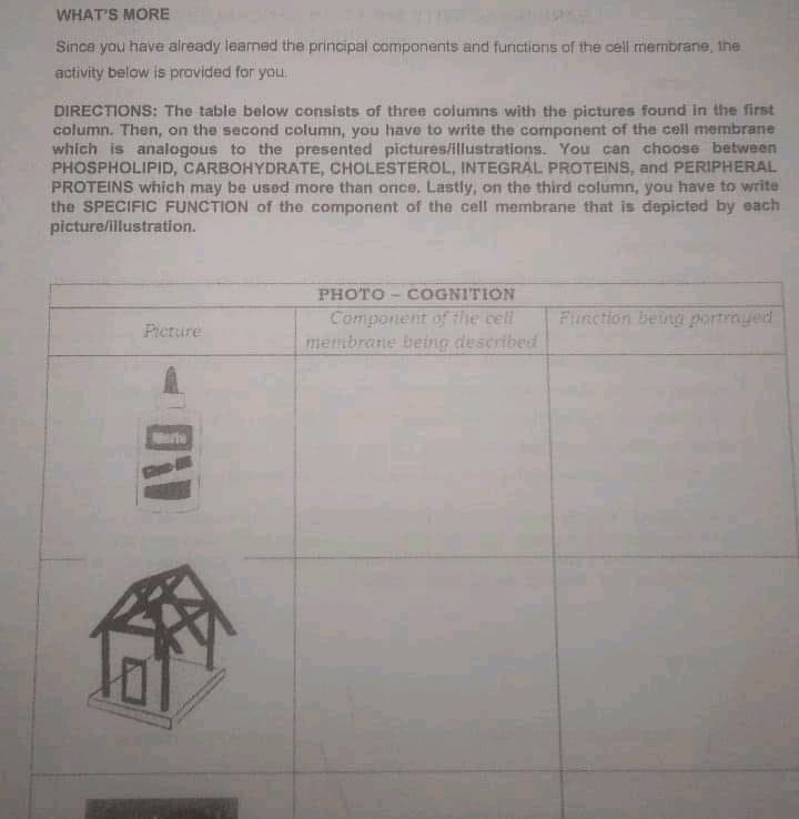 WHAT'S MORE
Since you have aiready learned the principal components and functions of the cell membrane, the
activity below is provided for you.
DIRECTIONS: The table below consists of three columns with the pictures found in the first
column. Then, on the second column, you have to write the component of the cell membrane
which is analogous to the presented pictures/illustrations. You can choose between
PHOSPHOLIPID, CARBOHYDRATE, CHOLESTEROL, INTEGRAL PROTEINS, and PERIPHERAL
PROTEINS which may be used more than once. Lastly, on the third column, you have to write
the SPECIFIC FUNCTION of the component of the cell membrane that is depicted by each
picture/illustration.
PHOTO - COGNITION
Function beung portrayed
Component of the cell
membrene being described
Picture
