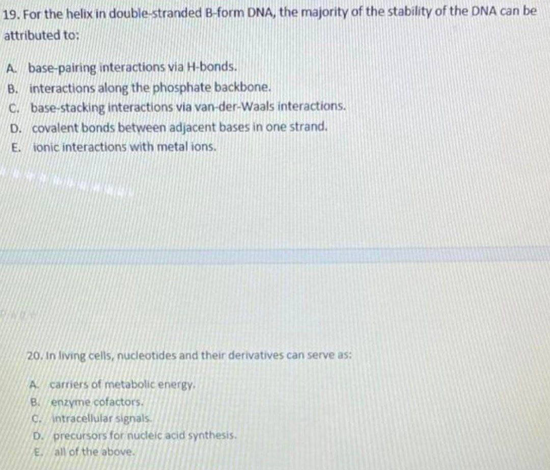 19. For the helix in double-stranded B-form DNA, the majority of the stability of the DNA can be
attributed to:
A. base-pairing interactions via H-bonds.
B. interactions along the phosphate backbone.
C. base-stacking interactions via van-der-Waals interactions.
D. covalent bonds between adjacent bases in one strand.
E. ionic interactions with metal ions.
20. In living cells, nucleotides and their derivatives can serve as:
A. carriers of metabolic energy.
B. enzyme cofactors.
C. intracellular signals.
D. precursors for nucleic acid synthesis.
E. all of the above.
