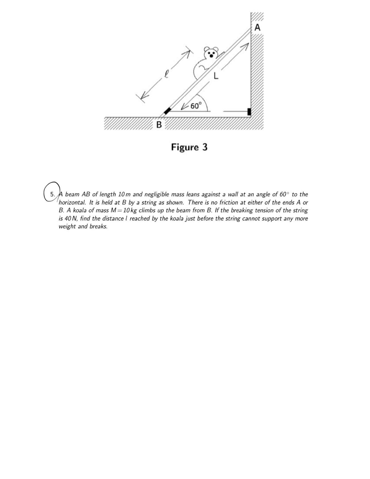 B
60°
Figure 3
L
A
5. A beam AB of length 10m and negligible mass leans against a wall at an angle of 60° to the
horizontal. It is held at B by a string as shown. There is no friction at either of the ends A or
B. A koala of mass M = 10 kg climbs up the beam from B. If the breaking tension of the string
is 40 N, find the distance reached by the koala just before the string cannot support any more
weight and breaks.