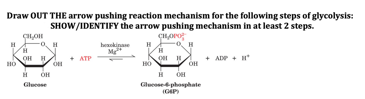 Draw OUT THE arrow pushing reaction mechanism for the following steps of glycolysis:
SHOW/IDENTIFY the arrow pushing mechanism in at least 2 steps.
CH,OPO
CH,OH
hexokinase
2+
H
H
H
H
H
H
ОН
+ ATP
OH
H
ADP + H+
H
ОН
+
НО
HO
OH
H
ОН
H
ОН
Glucose-6-phosphate
(G6P)
Glucose
