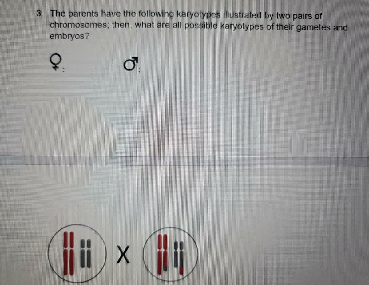3. The parents have the following karyotypes illustrated by two pairs of
chromosomes; then, what are all possible karyotypes of their gametes and
embryos?
Q.
1×
X