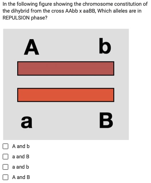 In the following figure showing the chromosome constitution of
the dihybrid from the cross AAbb x aaBB, Which alleles are in
REPULSION phase?
A
b
a
A and b
a and B
a and b
A and B
B