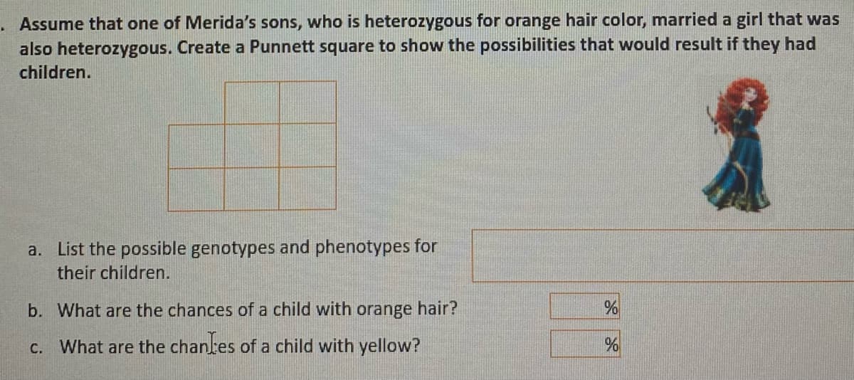 Assume that one of Merida's sons, who is heterozygous for orange hair color, married a girl that was
also heterozygous. Create a Punnett square to show the possibilities that would result if they had
children.
a. List the possible genotypes and phenotypes for
their children.
b. What are the chances of a child with orange hair?
c. What are the chantes of a child with yellow?
