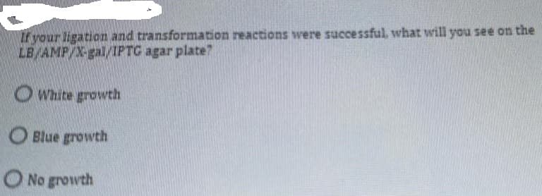 Iryour igation and transformation reactions were successful, what will you see on the
LB/AMP/X-gal/IPTC agar plate?
OWhite growth
O Blue growth
O No growth
