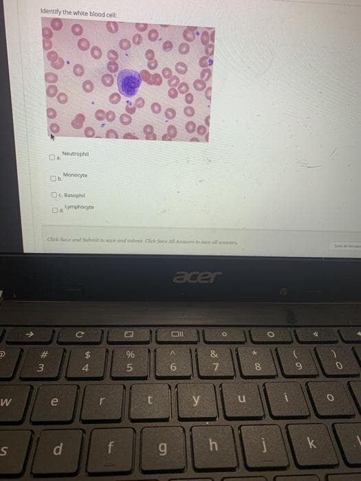 identify the white blood cel:
Neutrophil
a.
Monocyte
O Basophil
Oymphocyte
Click Sace and Submit t e nd suhmit. Chick Sae All Anner te all amwere
acer
2$
%
&
3)
4
e
y
d
f
g.
k
6,
w/
