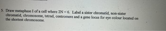 5. Draw metaphase I of a cell where 2N = 6. Label a sister chromatid, non-sister
chromatid, chromosome, tetrad, centromere and a gene locus for eye colour located on
the shortest chromosome.
