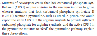 . Mutants of Neurospora crassa that lack carbamoyl phosphate syn-
thetase I (CPS I) require arginine in the medium in order to grow,
whereas mutants that lack carbamoyl-phosphate synthetase II
(CPS II) require a pyrimidine, such as uracil. A priori, one would
expect the active CPS II in the arginine mutants to provide sufficient
carbamoyl phosphate for arginine synthesis, and the active CPS I in
the pyrimidine mutants to "feed" the pyrimidine pathway. Explain
these observations.
