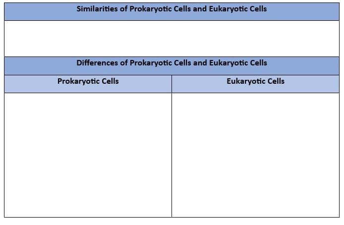Similarities of Prokaryotic Cells and Eukaryotic Cells
Differences of Prokaryotic Cells and Eukaryotic Cells
Prokaryotic Cells
Eukaryotic Cells