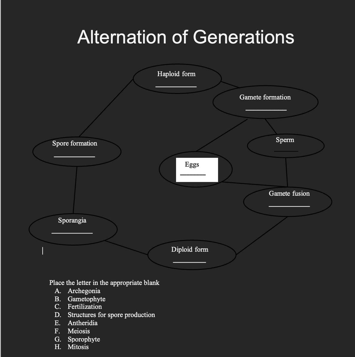 Alternation of Generations
Spore formation
Sporangia
Place the letter in the appropriate blank
A. Archegonia
B. Gametophyte
C. Fertilization
D. Structures for spore production
E. Antheridia
Haploid form
F. Meiosis
G. Sporophyte
H. Mitosis
Eggs
Diploid form
Gamete formation
Sperm
Gamete fusion