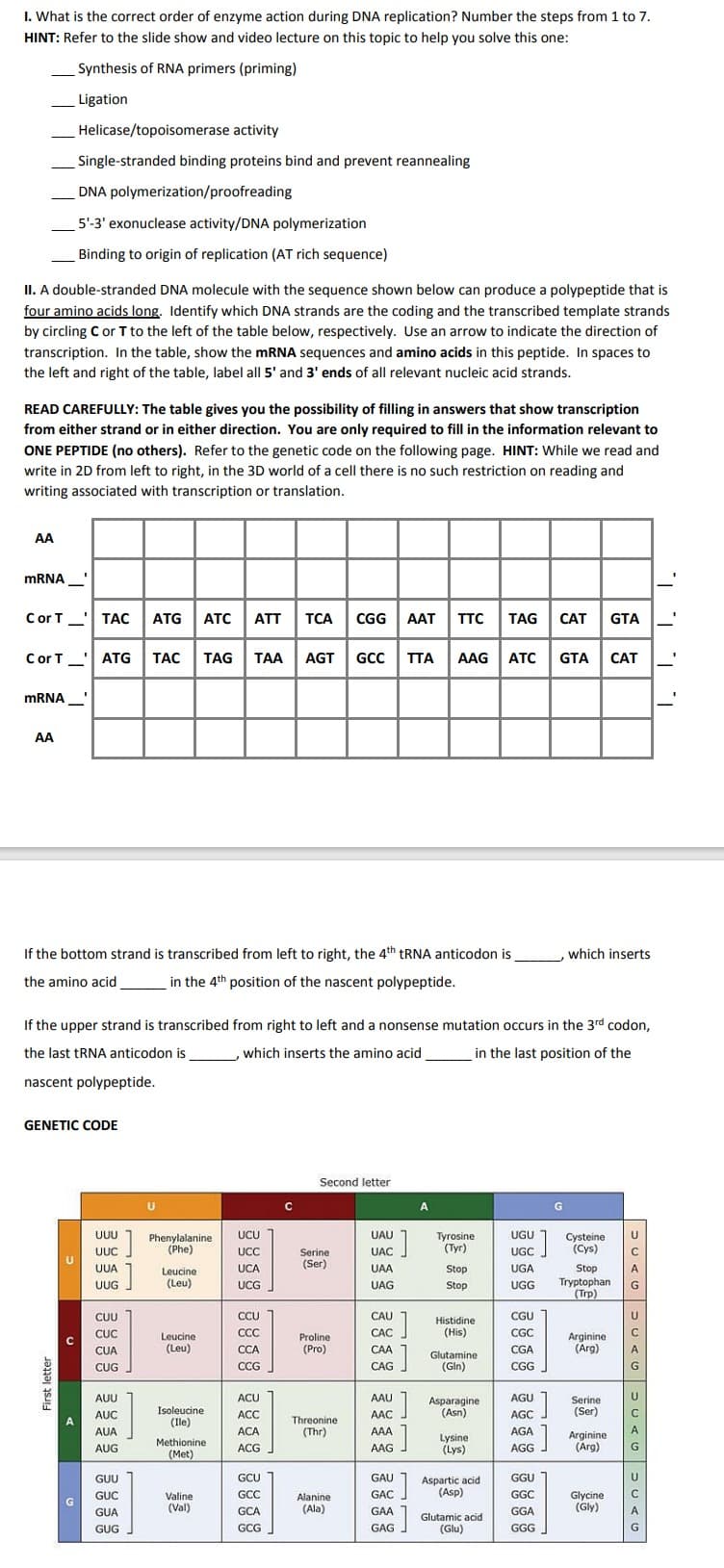 I. What is the correct order of enzyme action during DNA replication? Number the steps from 1 to 7.
HINT: Refer to the slide show and video lecture on this topic to help you solve this one:
Synthesis of RNA primers (priming)
Ligation
II. A double-stranded DNA molecule with the sequence shown below can produce a polypeptide that is
four amino acids long. Identify which DNA strands are the coding and the transcribed template strands
by circling C or T to the left of the table below, respectively. Use an arrow to indicate the direction of
transcription. In the table, show the mRNA sequences and amino acids in this peptide. In spaces to
the left and right of the table, label all 5' and 3' ends of all relevant nucleic acid strands.
READ CAREFULLY: The table gives you the possibility of filling in answers that show transcription
from either strand or in either direction. You are only required to fill in the information relevant to
ONE PEPTIDE (no others). Refer to the genetic code on the following page. HINT: While we read and
write in 2D from left to right, in the 3D world of a cell there is no such restriction on reading and
writing associated with transcription or translation.
AA
mRNA
C or T TAC ATG ATC ATT TCA CGG AAT TTC TAG CAT
mRNA
Helicase/topoisomerase activity
Single-stranded binding proteins bind and prevent reannealing
DNA polymerization/proofreading
5'-3' exonuclease activity/DNA polymerization
Binding to origin of replication (AT rich sequence)
AA
1.
C or T ATG TAC TAG TAA AGT GCC TTA AAG ATC GTA CAT
TT
If the bottom strand is transcribed from left to right, the 4th tRNA anticodon is
the amino acid
in the 4th position of the nascent polypeptide.
First letter
GENETIC CODE
If the upper strand is transcribed from right to left and a nonsense mutation occurs in the 3rd codon,
the last tRNA anticodon is
which inserts the amino acid
in the last position of the
nascent polypeptide.
с
G
UUU
UUC
UUA
:]
UUG
CUU
CUC
CUA
CUG
AUU
AUC
AUA
AUG
]
GUU
GUC
GUA
GUG
U
Phenylalanine
(Phe)
Leucine
(Leu)
Leucine
(Leu)
Isoleucine
(Ile)
Methionine
(Met)
Valine
(Val)
UCU
UCC
UCA
UCG
CCU
CCC
CCA
CCG
ACU
ACC
ACA
ACG
GCU
GCC
GCA
GCG
C
Second letter
Serine
(Ser)
Proline
(Pro)
Threonine
(Thr)
Alanine
(Ala)
UAU
2]
UAC
UAA
UAG
CAU
CAC
CAA
CAG
AAU
AAC
AAA
AAG
GAU
GAC
GAA
GAG
]
]
]
A
Tyrosine
(Tyr)
Stop
Stop
Histidine
(His)
Glutamine.
(Gln)
Asparagine
(Asn)
Lysine
(Lys)
Aspartic acid.
(Asp)
Glutamic acid
(Glu)
CGU
CGC
CGA
CGG
UGU
UGC
UGA
Stop
A
UGG Tryptophan G
(Trp)
AGU
AGC
AGA
AGG
GGU
GGC
GGA
GGG
لالا
, which inserts
]
GTA
Cysteine U
(Cys)
Arginine
(Arg)
Serine
(Ser)
Arginine
(Arg)
Glycine
(Gly)
DCAG
U
А
U
DCAG
1.
1.
1. I.