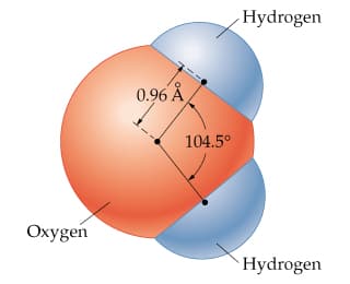 Hydrogen
0.96 Å
104.5°
Oxygen
Hydrogen
