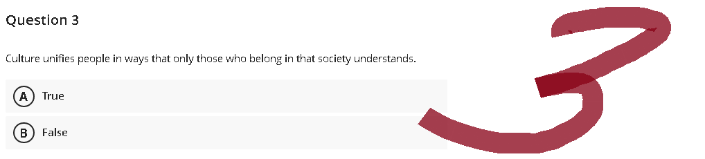 Question 3
Culture unifies people in ways that only those who belong in that society understands.
A True
(B) False
حون