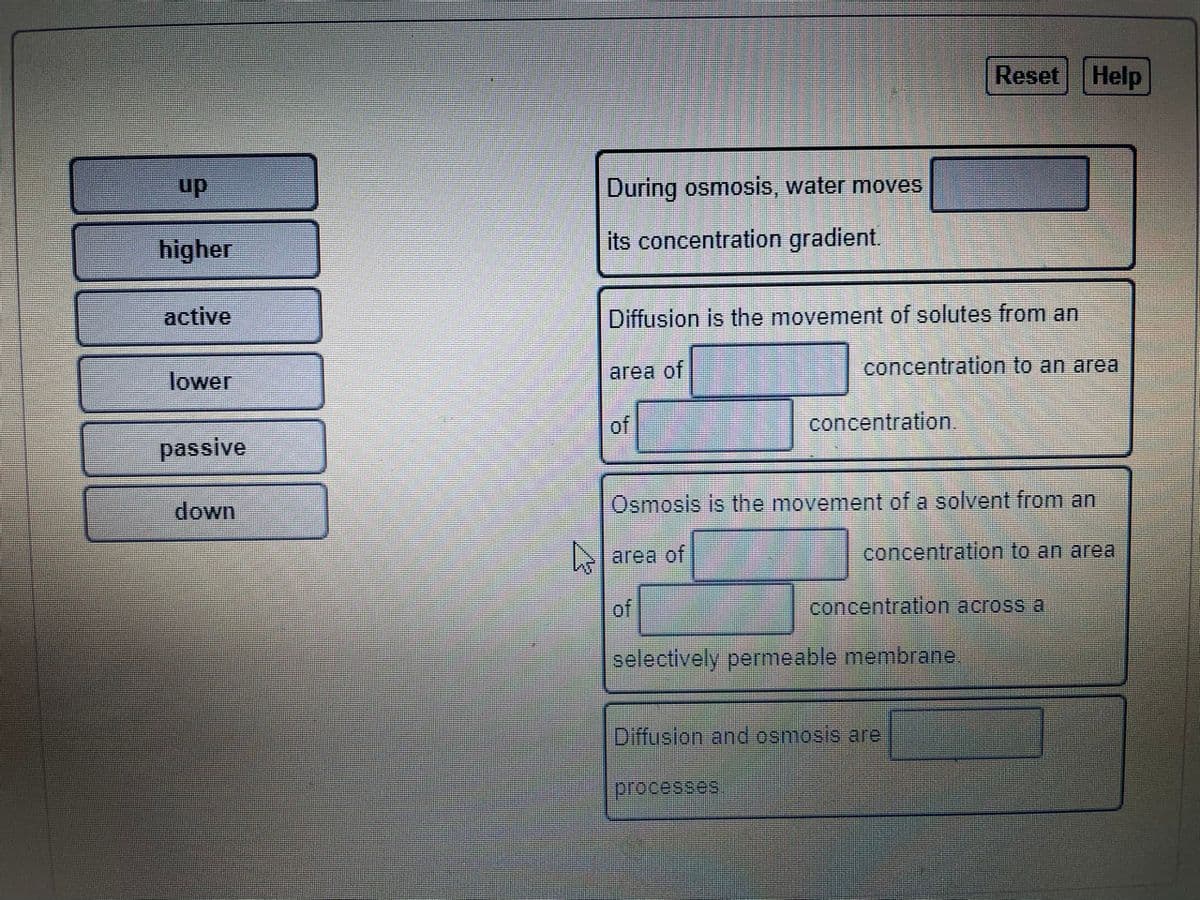 Reset Help
up
During osmosis, water moves
higher
its concentration gradient.
active
Diffusion is the movement of solutes from an
area of
concentration to an area
lower
of
concentration.
passive
down
Osmosis is the movement of a solvent from an
area of
concentration to an area
of
concentration across a
selectively permeable membrane
Diffusion and osmosis are
processes.
