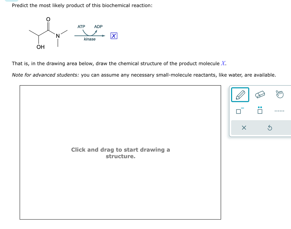 Predict the most likely product of this biochemical reaction:
ATP
ye
`N
OH
ADP
kinase
X
That is, in the drawing area below, draw the chemical structure of the product molecule X.
Note for advanced students: you can assume any necessary small-molecule reactants, like water, are available.
Click and drag to start drawing a
structure.
×
Ś