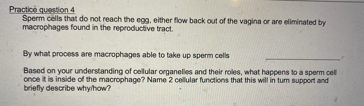 Practice question 4
Sperm cells that do not reach the egg, either flow back out of the vagina or are eliminated by
macrophages found in the reproductive tract.
By what process are macrophages able to take up sperm cells
Based on your understanding of cellular organelles and their roles, what happens to a sperm cell
once it is inside of the macrophage? Name 2 cellular functions that this will in turn support and
briefly describe why/how?
