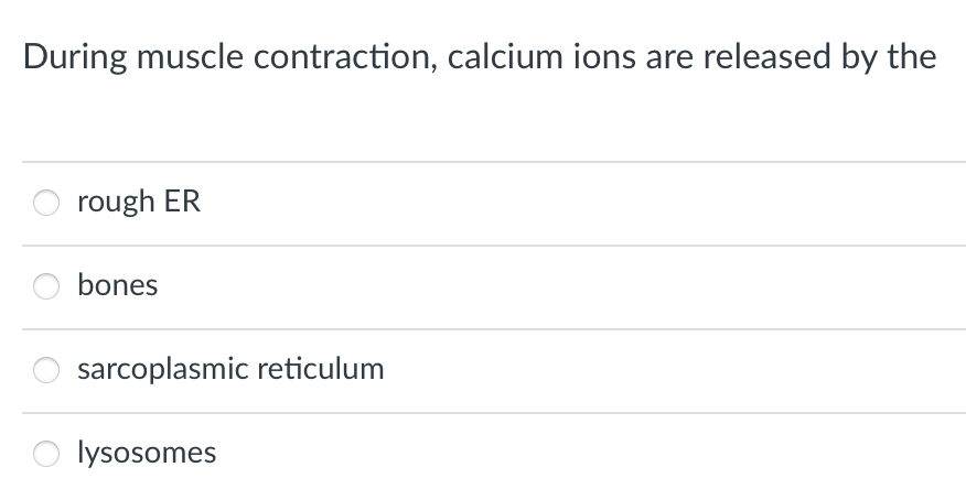 During muscle contraction, calcium ions are released by the
rough ER
bones
sarcoplasmic reticulum
lysosomes