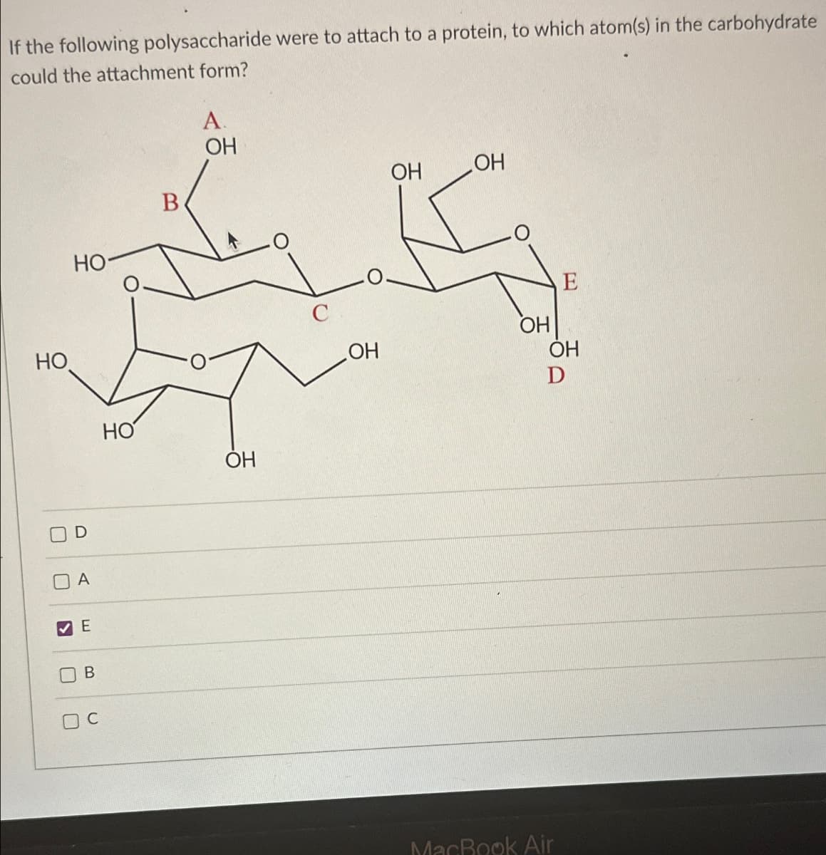 If the following polysaccharide were to attach to a protein, to which atom(s) in the carbohydrate
could the attachment form?
HO
U
☐
☐
☑
D
A
E
HO
B
B
C
A
OH
OH
OH
HO
OH
E
OH
OH
D
وة
OH
MacBook Air
