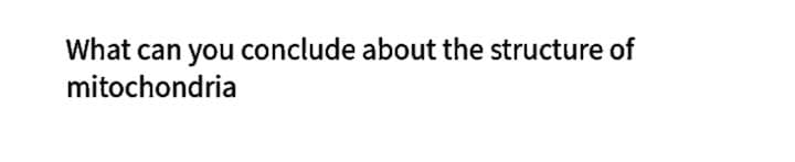What can you conclude about the structure of
mitochondria
