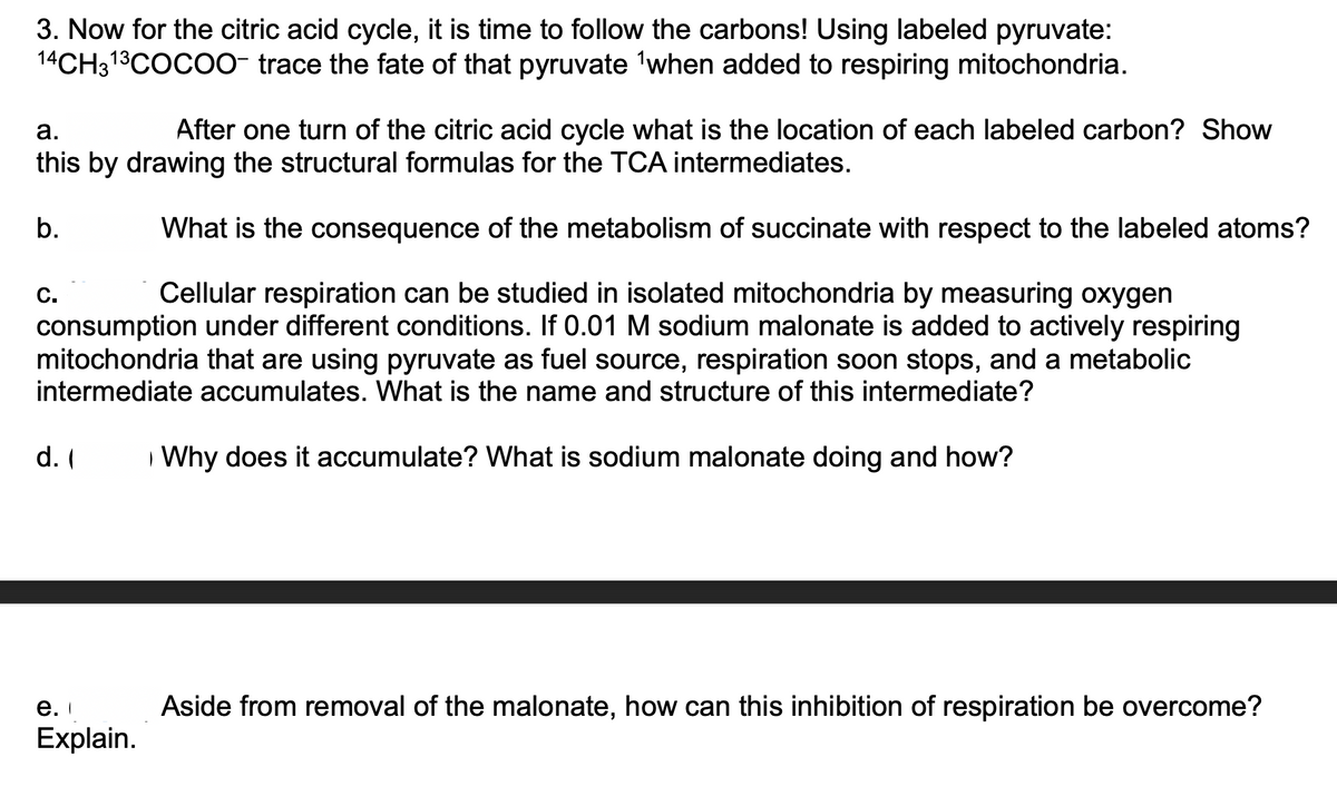 3. Now for the citric acid cycle, it is time to follow the carbons! Using labeled pyruvate:
14CH3¹³COCOO- trace the fate of that pyruvate ¹when added to respiring mitochondria.
a.
After one turn of the citric acid cycle what is the location of each labeled carbon? Show
this by drawing the structural formulas for the TCA intermediates.
What is the consequence of the metabolism of succinate with respect to the labeled atoms?
Cellular respiration can be studied in isolated mitochondria by measuring oxygen
consumption under different conditions. If 0.01 M sodium malonate is added to actively respiring
mitochondria that are using pyruvate as fuel source, respiration soon stops, and a metabolic
intermediate accumulates. What is the name and structure of this intermediate?
Why does it accumulate? What is sodium malonate doing and how?
b.
C.
d. (
e. I
Explain.
Aside from removal of the malonate, how can this inhibition of respiration be overcome?