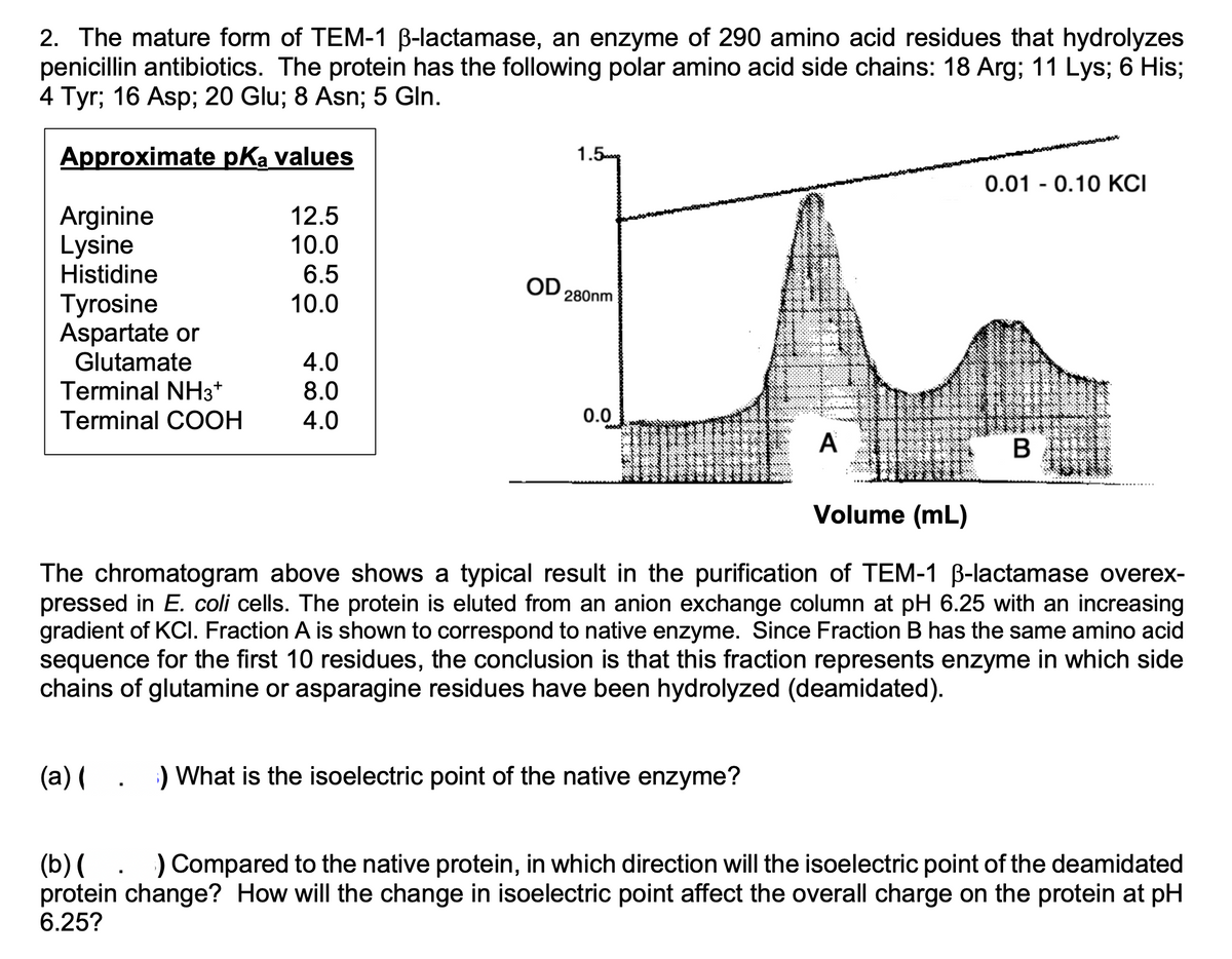 2. The mature form of TEM-1 ß-lactamase, an enzyme of 290 amino acid residues that hydrolyzes
penicillin antibiotics. The protein has the following polar amino acid side chains: 18 Arg; 11 Lys; 6 His;
4 Tyr; 16 Asp; 20 Glu; 8 Asn; 5 Gln.
Approximate pKa values
1.5
Arginine
12.5
Lysine
10.0
Histidine
6.5
OD
280nm
Tyrosine
10.0
Aspartate or
Glutamate
4.0
Terminal NH3+
8.0
Terminal COOH
4.0
0.0
A
0.01 0.10 KCI
B
Volume (mL)
The chromatogram above shows a typical result in the purification of TEM-1 ß-lactamase overex-
pressed in E. coli cells. The protein is eluted from an anion exchange column at pH 6.25 with an increasing
gradient of KCI. Fraction A is shown to correspond to native enzyme. Since Fraction B has the same amino acid
sequence for the first 10 residues, the conclusion is that this fraction represents enzyme in which side
chains of glutamine or asparagine residues have been hydrolyzed (deamidated).
(a) (
) What is the isoelectric point of the native enzyme?
(b) (
) Compared to the native protein, in which direction will the isoelectric point of the deamidated
protein change? How will the change in isoelectric point affect the overall charge on the protein at pH
6.25?