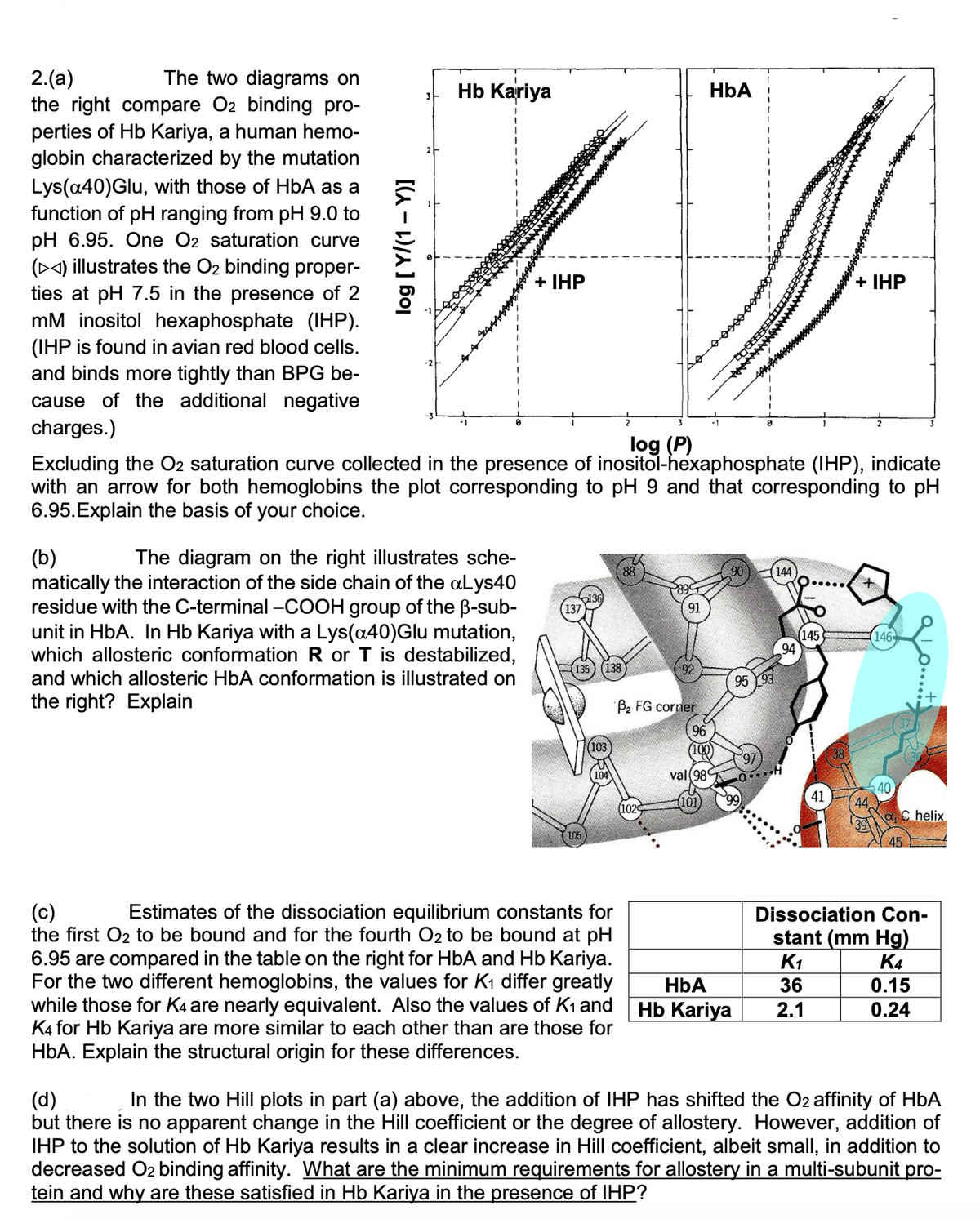 2.(a)
The two diagrams on
the right compare O2 binding pro-
perties of Hb Kariya, a human hemo-
globin characterized by the mutation
Lys(a40)Glu, with those of HbA as a
function of pH ranging from pH 9.0 to
pH 6.95. One O2 saturation curve
() illustrates the O2 binding proper-
ties at pH 7.5 in the presence of 2
mM inositol hexaphosphate (IHP).
(IHP is found in avian red blood cells.
and binds more tightly than BPG be-
cause of the additional negative
charges.)
log [Y/(1 - Y)]
Hb Kariya
+ IHP
(b)
The diagram on the right illustrates sche-
matically the interaction of the side chain of the aLys40
residue with the C-terminal -COOH group of the B-sub-
unit in HbA. In Hb Kariya with a Lys(a40)Glu mutation,
which allosteric conformation R or T is destabilized,
and which allosteric HbA conformation is illustrated on
the right? Explain
log (P)
Excluding the O2 saturation curve collected in the presence of inositol-hexaphosphate (IHP), indicate
with an arrow for both hemoglobins the plot corresponding to pH 9 and that corresponding to pH
6.95.Explain the basis of your choice.
137
105
138
103
88
(c)
Estimates of the dissociation equilibrium constants for
the first O₂ to be bound and for the fourth O2 to be bound at pH
6.95 are compared in the table on the right for HbA and Hb Kariya.
For the two different hemoglobins, the values for K₁ differ greatly
while those for K4 are nearly equivalent. Also the values of K₁ and
K4 for Hb Kariya are more similar to each other than are those for
HbA. Explain the structural origin for these differences.
92
(1020
HbA
B₂ FG corner
96
100)
val (98
HbA
Hb Kariya
95 93
97
0..
144
94
+ IHP
(145
+
41 44
146
40
C helix
45
Dissociation Con-
stant (mm Hg)
K₁
K4
36
0.15
2.1
0.24
(d)
In the two Hill plots in part (a) above, the addition of IHP has shifted the O2 affinity of HbA
but there is no apparent change in the Hill coefficient or the degree of allostery. However, addition of
IHP to the solution of Hb Kariya results in a clear increase in Hill coefficient, albeit small, in addition to
decreased O2 binding affinity. What are the minimum requirements for allostery in a multi-subunit pro-
tein and why are these satisfied in Hb Kariya in the presence of IHP?