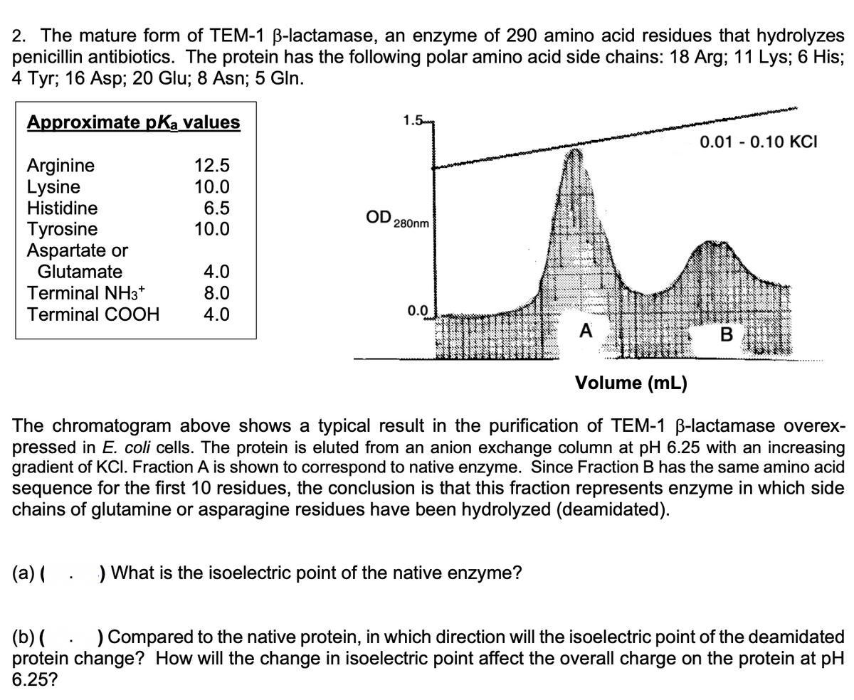 2. The mature form of TEM-1 ß-lactamase, an enzyme of 290 amino acid residues that hydrolyzes
penicillin antibiotics. The protein has the following polar amino acid side chains: 18 Arg; 11 Lys; 6 His;
4 Tyr; 16 Asp; 20 Glu; 8 Asn; 5 Gln.
Approximate pKa values
1.5
Arginine
12.5
Lysine
10.0
Histidine
6.5
OD
280nm
Tyrosine
10.0
Aspartate or
Glutamate
4.0
Terminal NH3+
8.0
Terminal COOH
4.0
0.0
Α
-
0.01 0.10 KCI
B
Volume (mL)
The chromatogram above shows a typical result in the purification of TEM-1 ß-lactamase overex-
pressed in E. coli cells. The protein is eluted from an anion exchange column at pH 6.25 with an increasing
gradient of KCI. Fraction A is shown to correspond to native enzyme. Since Fraction B has the same amino acid
sequence for the first 10 residues, the conclusion is that this fraction represents enzyme in which side
chains of glutamine or asparagine residues have been hydrolyzed (deamidated).
(a)(
) What is the isoelectric point of the native enzyme?
(b)( ) Compared to the native protein, in which direction will the isoelectric point of the deamidated
protein change? How will the change in isoelectric point affect the overall charge on the protein at pH
6.25?