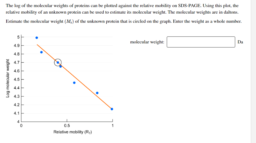 The log of the molecular weights of proteins can be plotted against the relative mobility on SDS-PAGE. Using this plot, the
relative mobility of an unknown protein can be used to estimate its molecular weight. The molecular weights are in daltons.
Estimate the molecular weight (M₁) of the unknown protein that is circled on the graph. Enter the weight as a whole number.
Log molecular weight
5
4.9
4.8
4.7
4.6
4.5
4.4
4.3
4.2
4.1
4
0
0.5
Relative mobility (R₁)
molecular weight:
Da