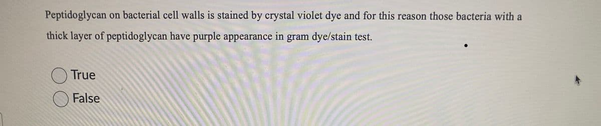 Peptidoglycan on bacterial cell walls is stained by crystal violet dye and for this reason those bacteria with a
thick layer of peptidoglycan have purple appearance in gram dye/stain test.
True
False