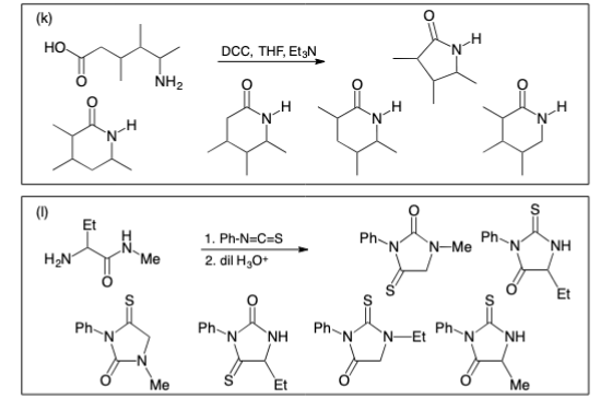 (k)
HO
(1)
H₂N
Et
Ph-
'N'
NH₂
Me
Me
DCC, THF, Et N
1. Ph-N=C=S
2. dil H₂O+
ph-N
ΝΗ
Et
Ph
'N
Ph
'N' N-Me
Ph
Ph
N-Et 'N NH
SI
Me
ΝΗ
Et