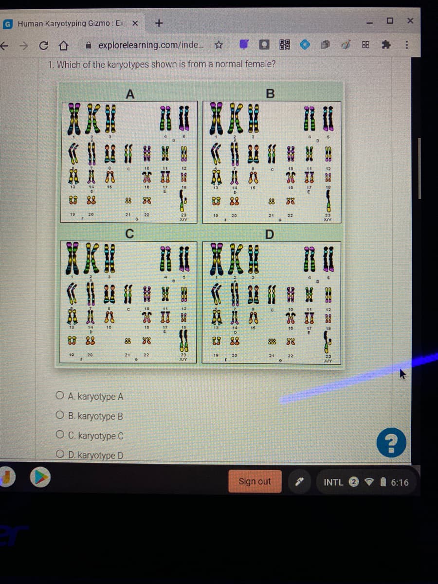 G Human Karyotyping Gizmo : Ex
A explorelearning.com/inde..
『ロ關
1. Which of the karyotypes shown is from a normal female?
A
14
15
17
88
88
8 88
88
88
10
20
21
22
19
20
21
22
C
《自
15
10
15
18 88
88
88
10
20
21
22
19
20
21
O A. karyotype A
ОВ кагyotype B
O C karyotype C
O D. karyotype D
Sign out
INTL 2 V 6:16
...
器: 2
